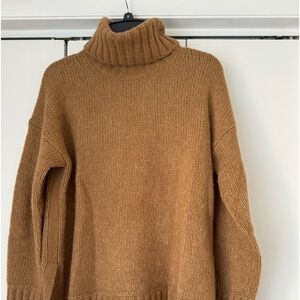 Everlane Turtleneck Sweater
